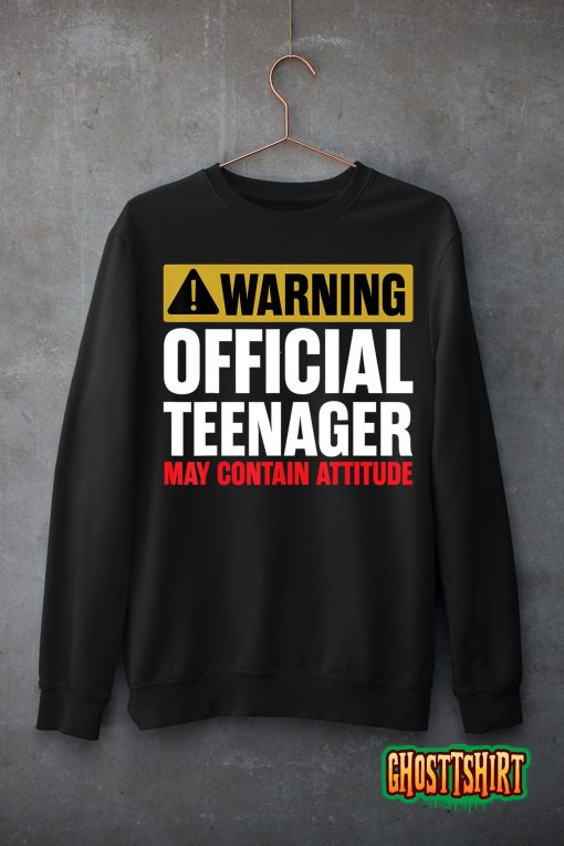 13 Birthday Official Teenager Boy 13yr Math 13th Birthday T-Shirt