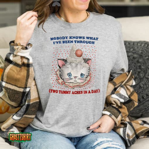 Nobody Knows What I’ve Been Through Two 2 Tummy Aches Unisex T-Shirt
