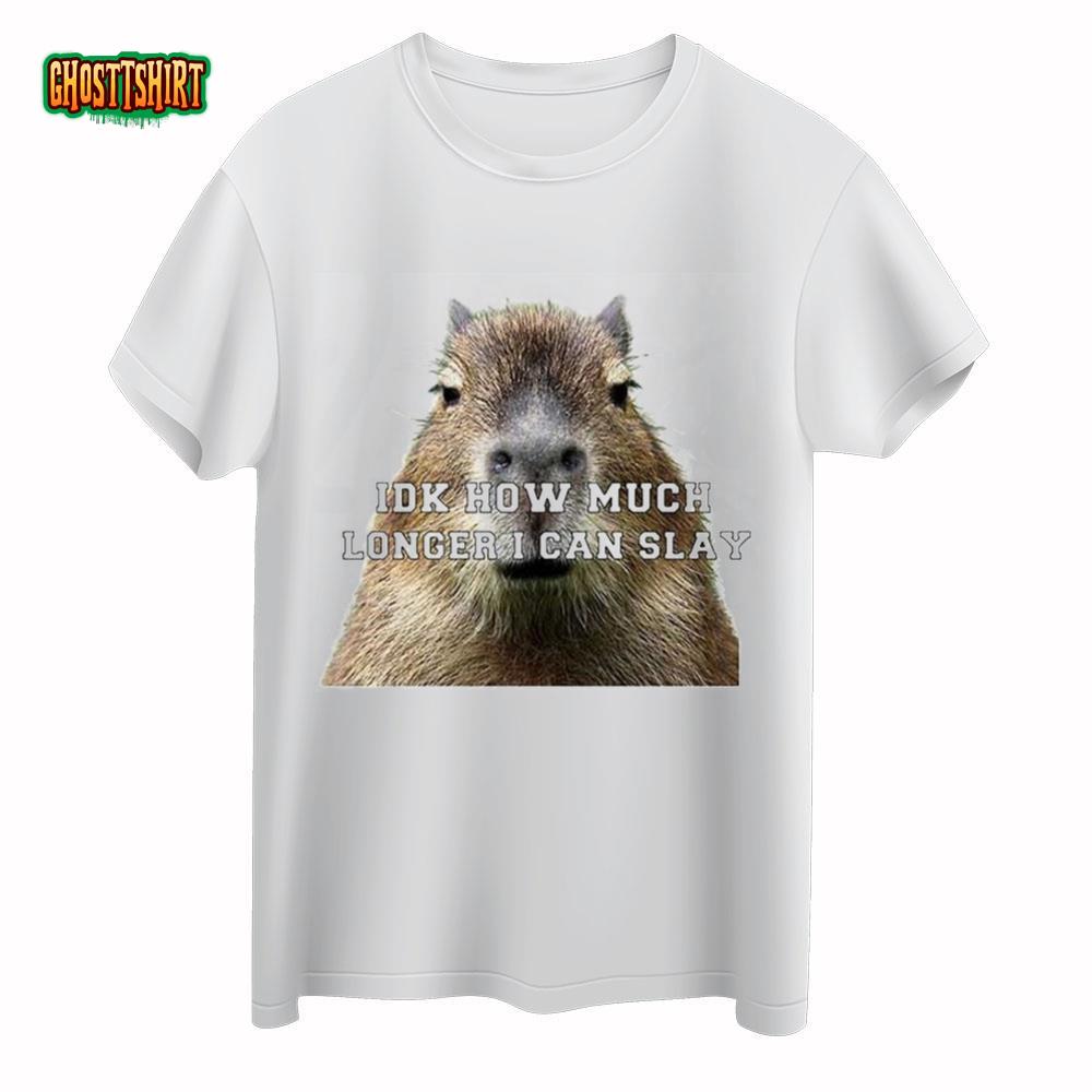 Idk How Much Longer I Can Slay Capybara Sarcastic Meme T Shirt