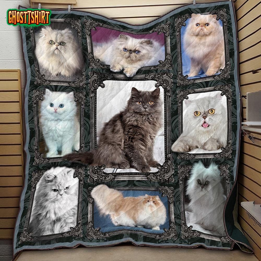 Persian Cat Beautiful Cats Quilt Blanket