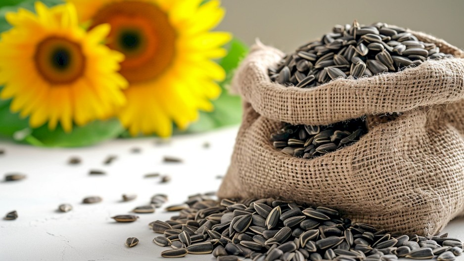 Do Sunflower Seeds Go Bad Do Sunflower Seeds Go Bad