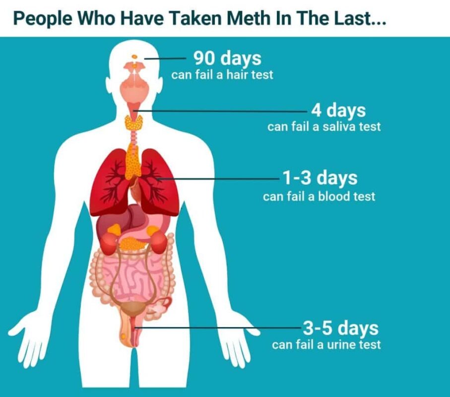 How Long Does Meth Stay In Your System How Long Does Meth Stay In Your System